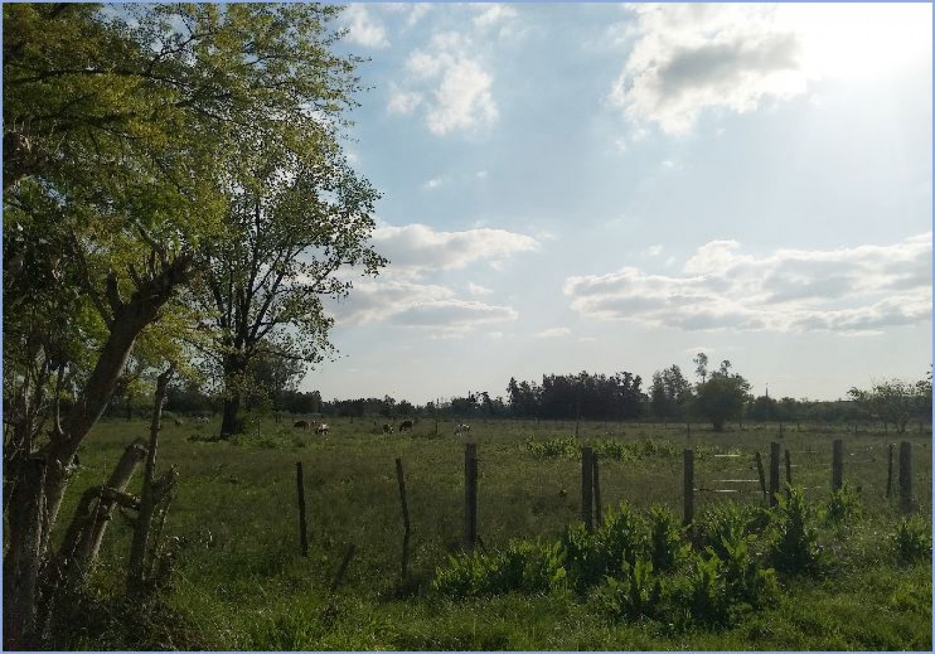 Fraccion de Terreno de 45.000 m2 en Moreno - Trujui a 5 min Acceso Oeste y Camino del Buenayre