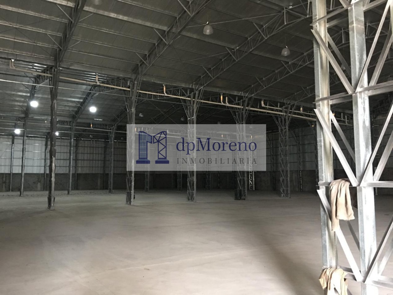 Galpon de 3000 m2 sobre Colectora Acceso Oeste - Gral Rodriguez