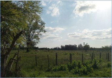 Fraccion de Terreno de 45.000 m2 en Moreno - Trujui a 5 min Acceso Oeste y Camino del Buenayre