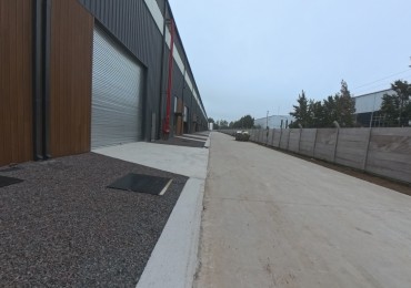 Galpon de 1120 m2 dentro de predio cerrado en Tigre a estrenar - Producto Gourmet